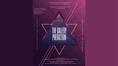 The Gallery Prediction by Amir Mugha video (Download)