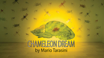 Chameleon Dream by Mario Tarasini video (Download)