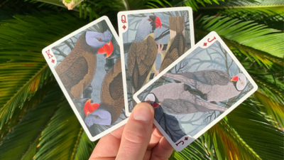Gilded Bicycle Parrot Extinct Playing Cards - Image 6