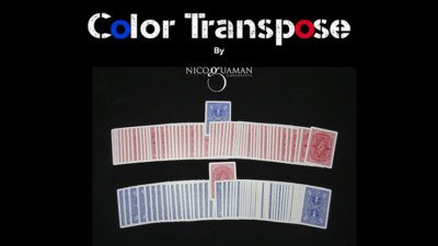 Color Transpose by Nico Guaman video (Download)