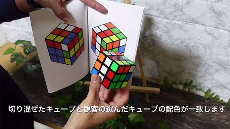 Book Cube Change by SYOUMA & TSUBASA - Image 2