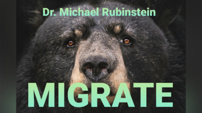 MIGRATE DLX COIN by Dr. Michael Rubinstein - Image 2