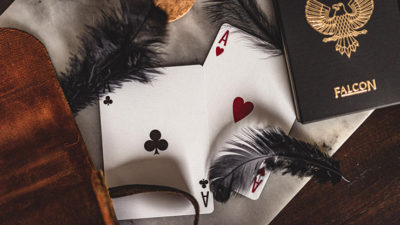 FALCON Playing Cards - Image 5