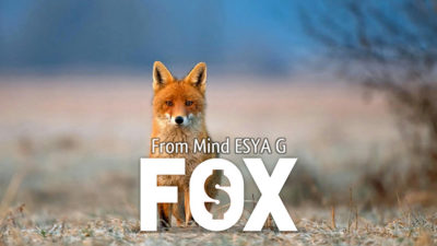 FOX by Esya G video (Download)