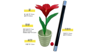 WAND TO FLOWER by JL Magic - Image 2