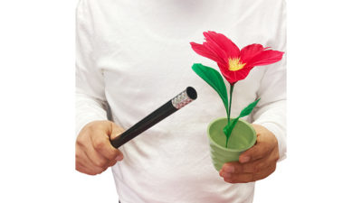 WAND TO FLOWER by JL Magic - Image 4