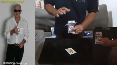 Ascending Cards by Salvador Molano video (Download)