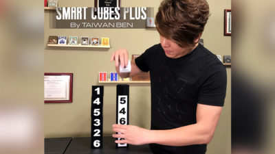 Smart Cubes PLUS, Medium / Parlor by Taiwan Ben