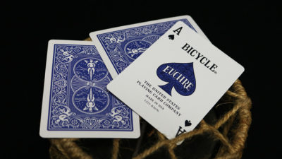 Bicycle Euchre Playing Cards - Image 2