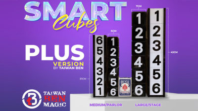 Smart Cubes PLUS, Large/Stage by Taiwan Ben