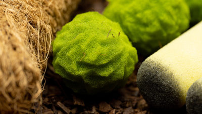 Cannabis Sponge Balls and Never Ending Spliffs, Gimmicks and Online Instructions by Adam Wilber - Image 4