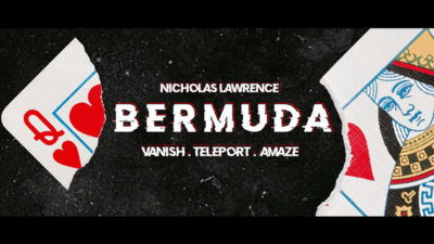 BERMUDA, Blue by Nicholas Lawrence - Image 6