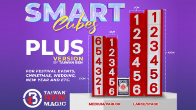 Smart Cubes PLUS RED, Large/Stage by Taiwan Ben