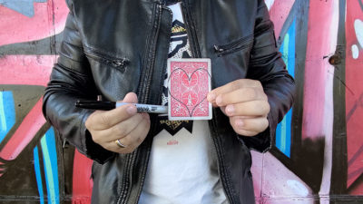 Surprise Proposal by Patricio Teran video (Download) - Image 2