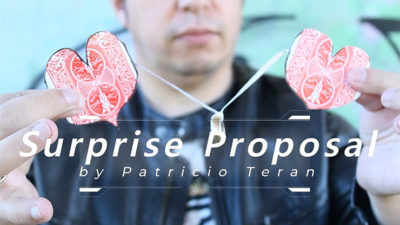Surprise Proposal by Patricio Teran video (Download)