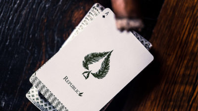 Republics: Jeremy Griffith Edition Playing cards - Image 2