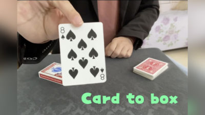 Card to Box by Dingding video (Download)