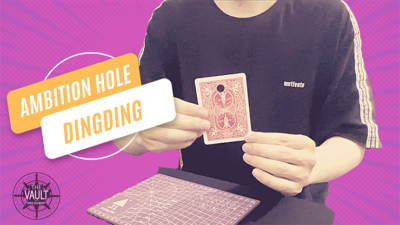 The Vault - Ambition Hole by Dingding video (Download)