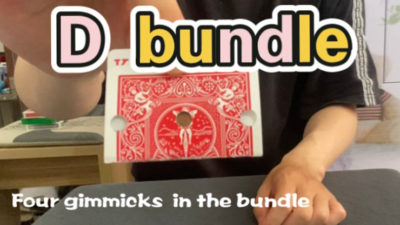 D Bundle by Dingding video (Download)