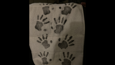 Dirty Drop Cloth Magnetic, MUDDY by David Alan Magic - Image 2
