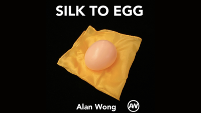 Silk To Egg, Brown/with Yellow silk by Alan Wong