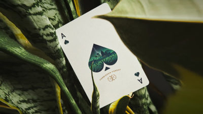 Forbidden Forest Playing Cards - Image 4