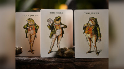 Notorious Gambling Frog, Orange Playing Cards by Stockholm17 - Image 2
