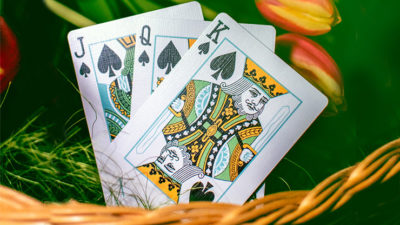 Butterfly Seasons Playing Cards Marked, Spring by Ondrej Psenicka - Image 2