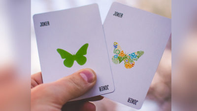 Butterfly Seasons Playing Cards Marked, Spring by Ondrej Psenicka - Image 3