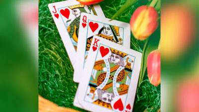 Butterfly Seasons Playing Cards Marked, Spring by Ondrej Psenicka - Image 4