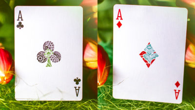 Butterfly Seasons Playing Cards Marked, Spring by Ondrej Psenicka - Image 5