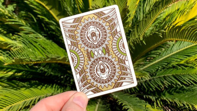 Bicycle Dinosaur Playing Cards - Image 4