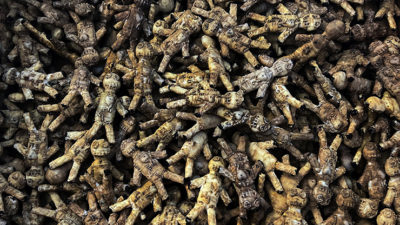 HOODOO - Haunted Voodoo Doll, Gimmicks and Online Instructions by iNFiNiTi and Mark Traversoni - Image 5