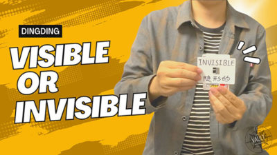 The Vault - Visible or Invisible by Dingding video (Download)