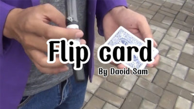 Flip Card by David Sam video (Download)