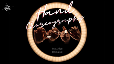 The Vault - Hand Choreography by Matthieu Hamaissi mixed media (Download)