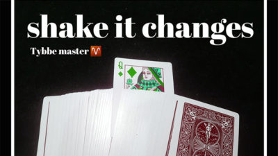Shake it Changes by Tybbe Master video (Download)