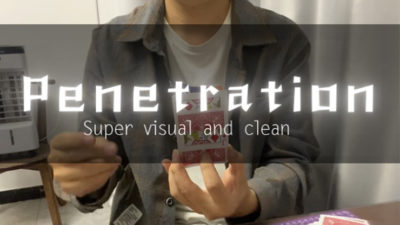 Penetration by Dingding video (Download)