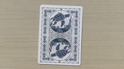 Bicycle Turtle, Sea Playing Cards - Image 6