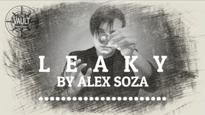 The Vault - Leaky by Alex Soza video (Download)
