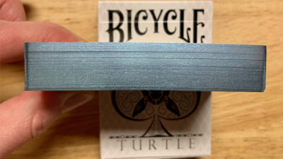 Gilded Bicycle Turtle, Sea Playing Cards