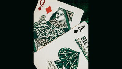 Bicycle Jacquard Playing Cards by US Card Magic - Image 5