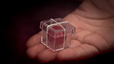 MAGIC CHAMBER, Gimmicks and Instructions by Apprentice Magic - Image 3