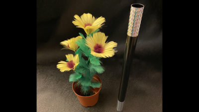 WAND TO SUNFLOWER LARGE by Alan Wong - Image 2