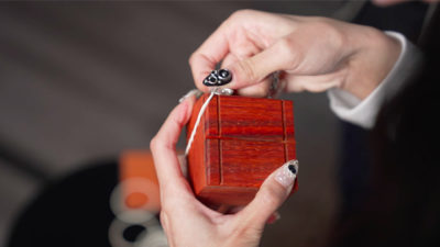 4D BOX, NEST OF BOXES by Pen, Bond Lee & MS Magic - Image 5