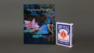 ENCHANTED INSIGHTS BLUE, French Instruction by Peter Wallace - Image 3
