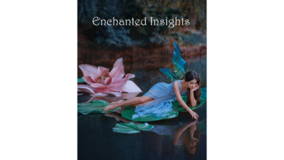 ENCHANTED INSIGHTS BLUE, French Instruction by Peter Wallace