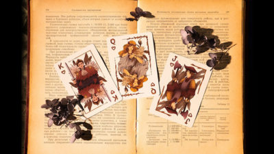 Epiphyllum Playing Cards - Image 5