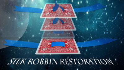 Silk Restoration by Dinging video (Download)