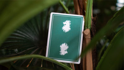 Leon V2 Playing Cards - Image 2